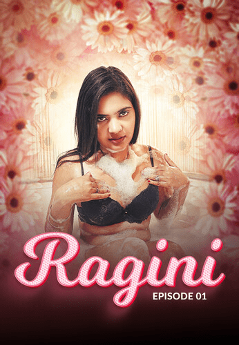 Ragini 2024 MeetX S01E01 Hindi Uncut Web Series 720p HDRip Download