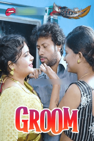 Groom 2024 Hindi GoddesMahi Short Films 720p HDRip 200MB Download